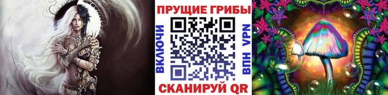 Псилоцибиновые грибы прущие грибы  продажа наркотиков  Талица 