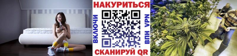 Бошки Шишки планчик  это формула  Талица 